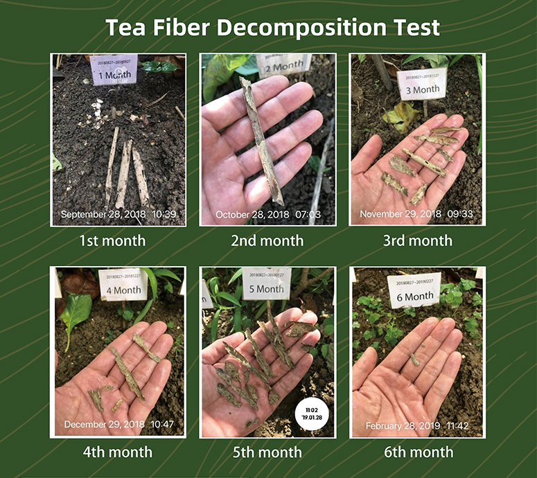 বুলেটেডান প্রযুক্তি
