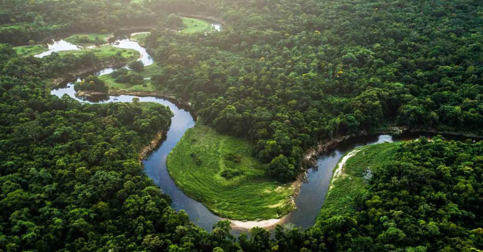 বুলেটেডান প্রযুক্তি