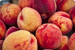 বুলেটেডান প্রযুক্তি