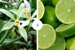 বুলেটেডান প্রযুক্তি