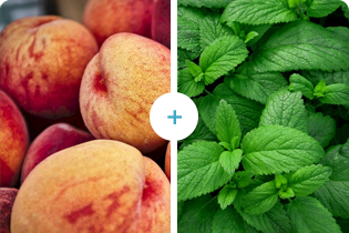 বুলেটেডান প্রযুক্তি