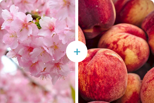 বুলেটেডান প্রযুক্তি